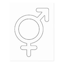 Gender Neutral White The MUSEUM Zazzle Gifts Post Cards