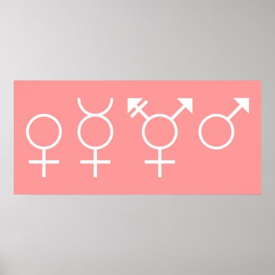 Gender Symbols Poster by sjaros