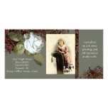 Genealogy Photo Card photo cards