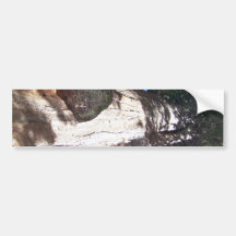 General Sherman Tree Bumper Stickers