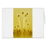 Genes Reunited digital art Greeting Card