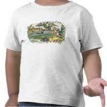 Genesis 28 10 Jacob's Ladder, from the 'Nuremberg t-shirts
