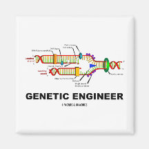 Genetic Engineer (DNA Replication) Refrigerator Magnet