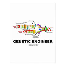 Genetic Engineer (DNA Replication) Postcard