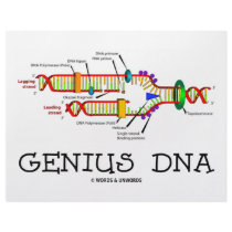 Genius DNA (DNA Replication Humour)