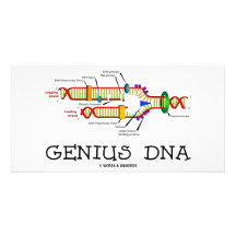 Genius DNA (DNA Replication Humour) Photo Cards