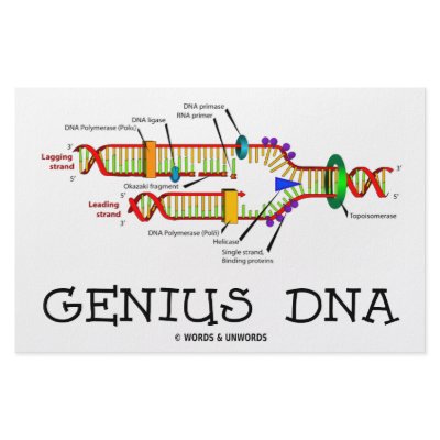 Genius DNA (DNA Replication Humour) by wordsunwords