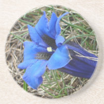 gentian untersatz