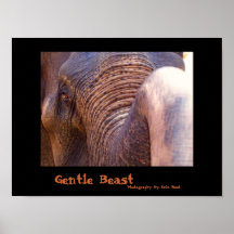 Gentle Beast, Elephant Poster
