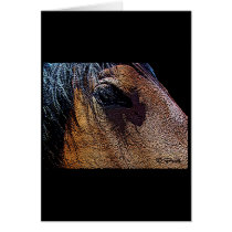 Gentle Eye Card