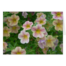 Gentle Flowers Notecard