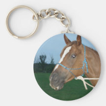 gentle horse keychains