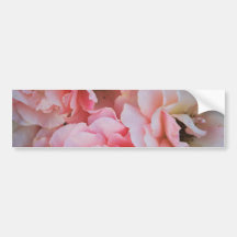 Gentle Pink Rose Blooms - Flower photography Bumper Stickers