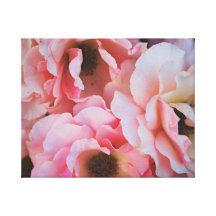 Gentle Pink Rose Blooms - Flower photography Canvas Print