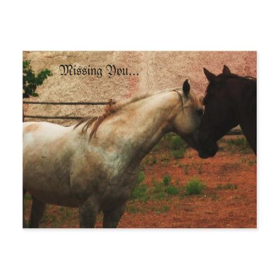 Gentle Whisper... Post Card by sumiko