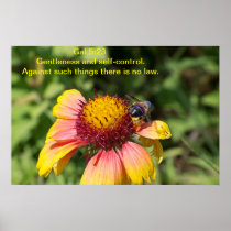Gentleness and self-control print