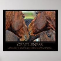 Gentleness Poster