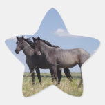 GENTLENESS STICKERS