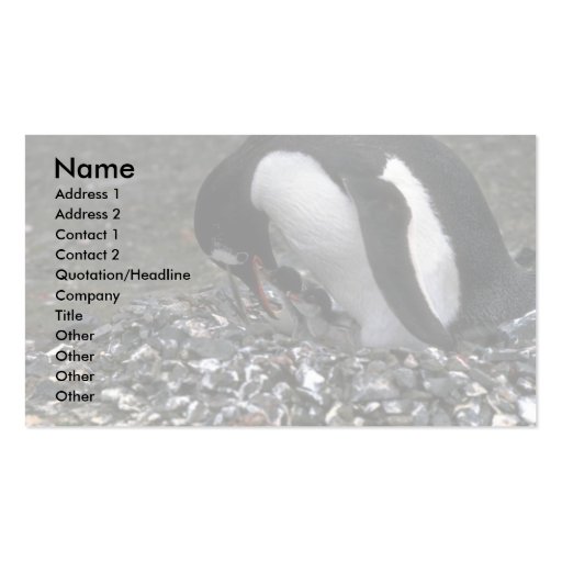 Gentoo Penguin - Adult With Small Chicks In Nest Business Card Template