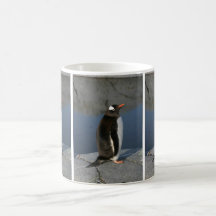 Gentoo Penguin Coffee Mug