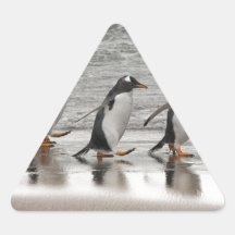 Gentoos on the beach triangle stickers