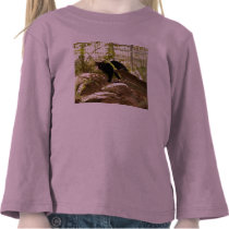 geoffroy-cat-009