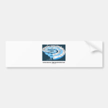 Geological Time In Perspective (Earth's History) Bumper Sticker