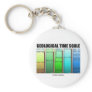 Geological Time Scale (Geological Age)