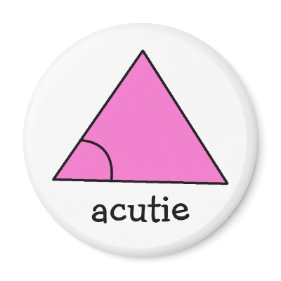 Geometry Math Teacher Gift Triangle Acute Acutie Refrigerator Magnet by yencathy