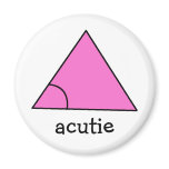 Geometry Math Teacher Gift Triangle Acute Acutie magnets