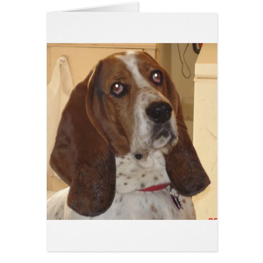 George Greeting Cards