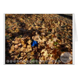 George of the Leaves Cards