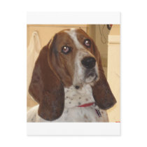 George Post Card