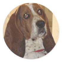 George Round Sticker