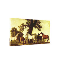 George Stubbs - Horses in a Landscape Stretched Canvas Prints