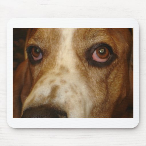 George's Stuff Mouse Mat