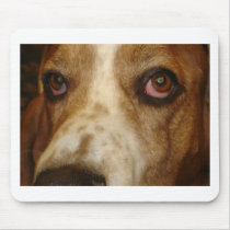 George's Stuff Mouse Mat