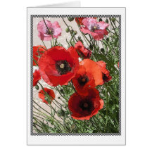 Georgetown Poppies II Card