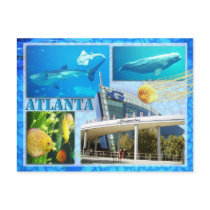 GEORGIA AQUARIUM, ATLANTA, GEORGIA POSTCARD