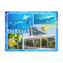 GEORGIA AQUARIUM, ATLANTA, GEORGIA POSTCARD
