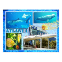 GEORGIA AQUARIUM, ATLANTA, GEORGIA POSTCARD