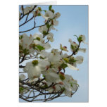 Georgia Dogwood Blossoms Card