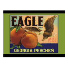 Georgia Eagle Peaches Postcard