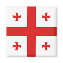 Georgia Flag Magnet
