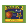 Georgia Peaches Postcards