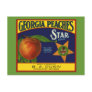 Georgia Peaches Postcards