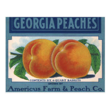 Georgia Peaches, Vintage Fruit Crate Label Art Post Card
