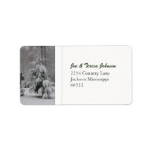 Georgia snow 2010 personalized address labels