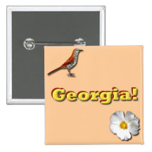 Georgia State Pin