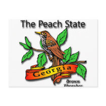 Georgia The Peach State Brown Thrasher Postcards